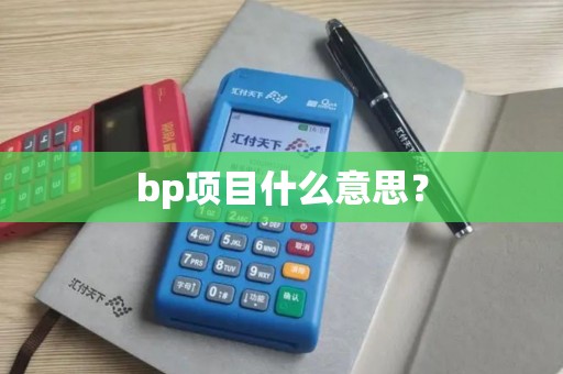 bp项目什么意思？