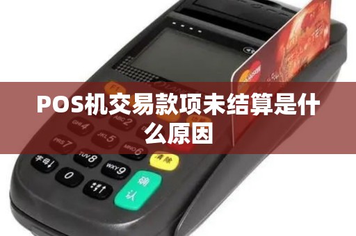 POS机交易款项未结算是什么原因