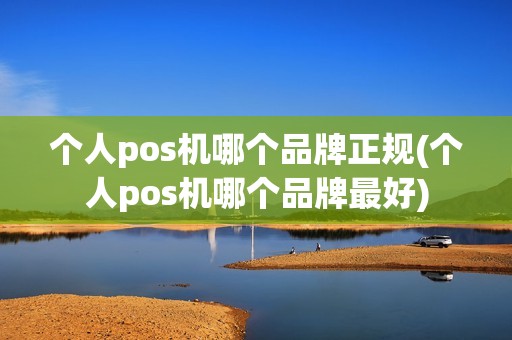 个人pos机哪个品牌正规(个人pos机哪个品牌最好)