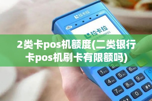 2类卡pos机额度(二类银行卡pos机刷卡有限额吗)