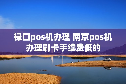 禄口pos机办理 南京pos机办理刷卡手续费低的