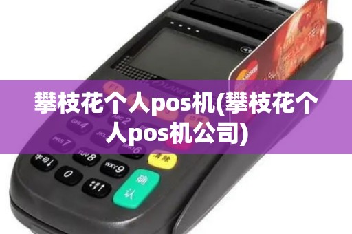 攀枝花个人pos机(攀枝花个人pos机公司)