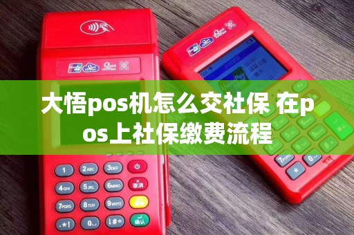 大悟pos机怎么交社保 在pos上社保缴费流程
