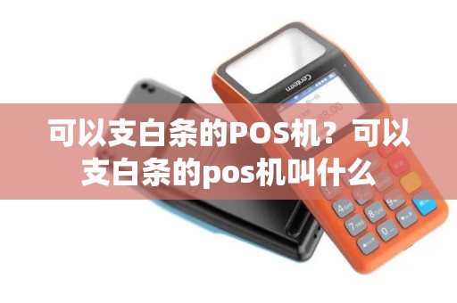 可以支白条的POS机？可以支白条的pos机叫什么