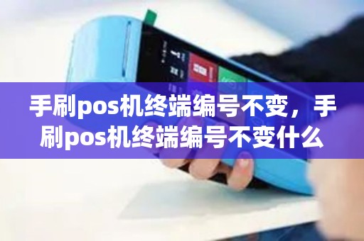 手刷pos机终端编号不变，手刷pos机终端编号不变什么意思