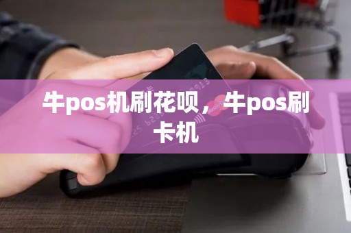 牛pos机刷花呗，牛pos刷卡机