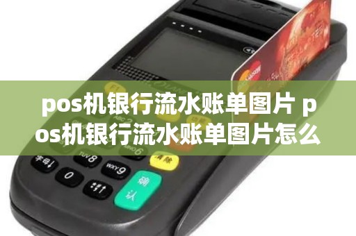 pos机银行流水账单图片 pos机银行流水账单图片怎么查