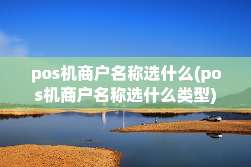 pos机商户名称选什么(pos机商户名称选什么类型)
