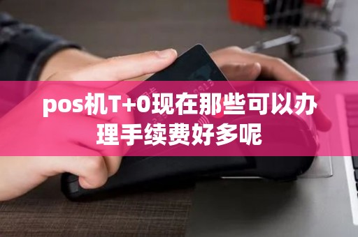 pos机T+0现在那些可以办理手续费好多呢