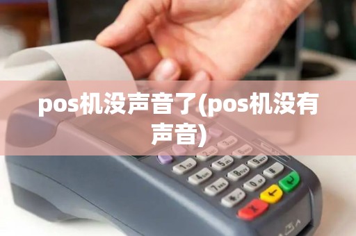 pos机没声音了(pos机没有声音)