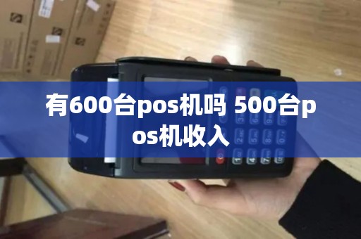 有600台pos机吗 500台pos机收入