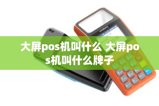 大屏pos机叫什么 大屏pos机叫什么牌子