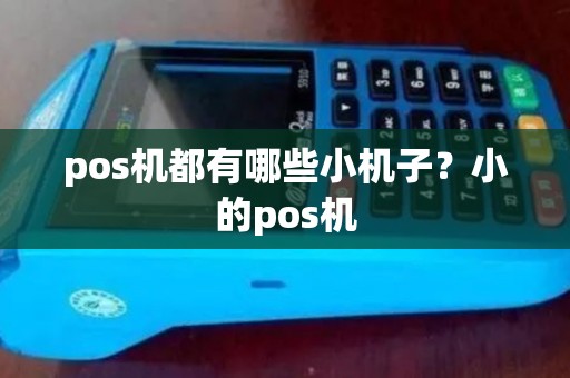 pos机都有哪些小机子？小的pos机