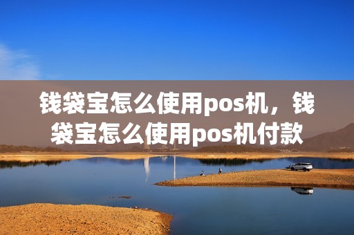 钱袋宝怎么使用pos机，钱袋宝怎么使用pos机付款