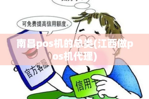 南昌pos机的总类(江西做pos机代理)