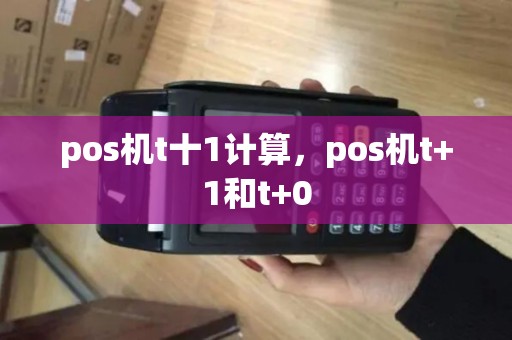 pos机t十1计算，pos机t+1和t+0