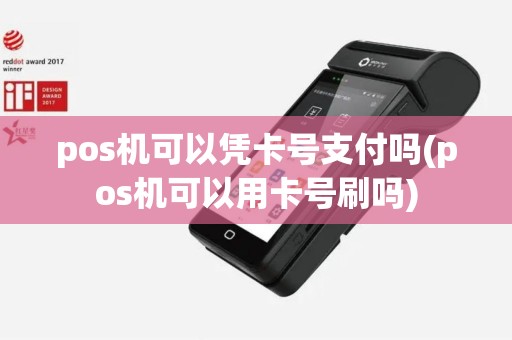 pos机可以凭卡号支付吗(pos机可以用卡号刷吗)