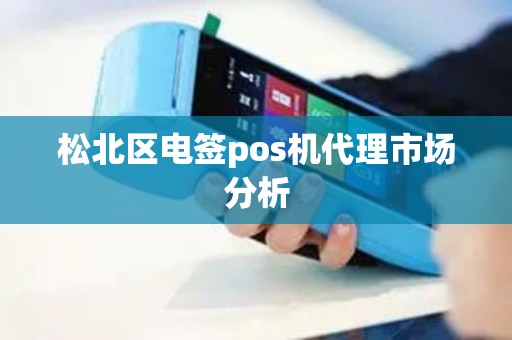 松北区电签pos机代理市场分析