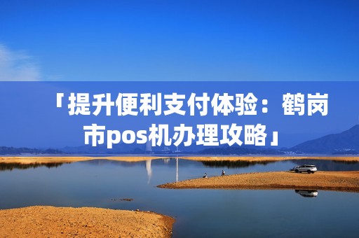「提升便利支付体验：鹤岗市pos机办理攻略」