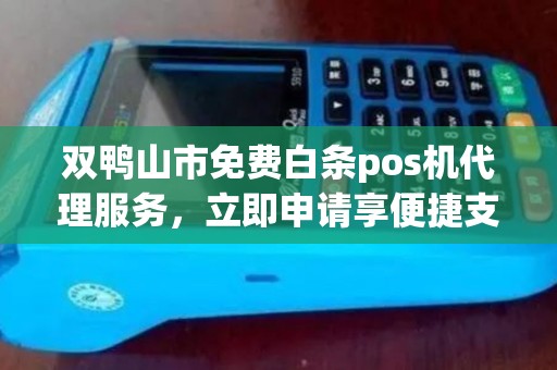 双鸭山市免费白条pos机代理服务，立即申请享便捷支付！