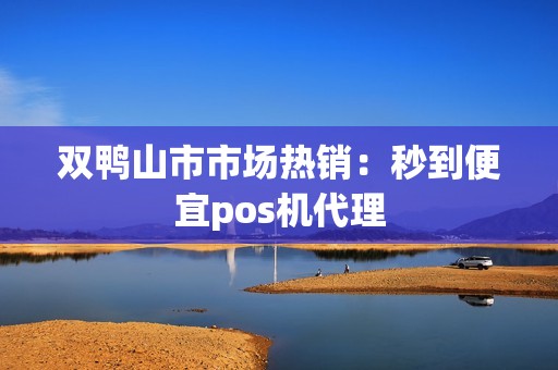 双鸭山市市场热销：秒到便宜pos机代理
