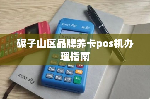 碾子山区品牌养卡pos机办理指南
