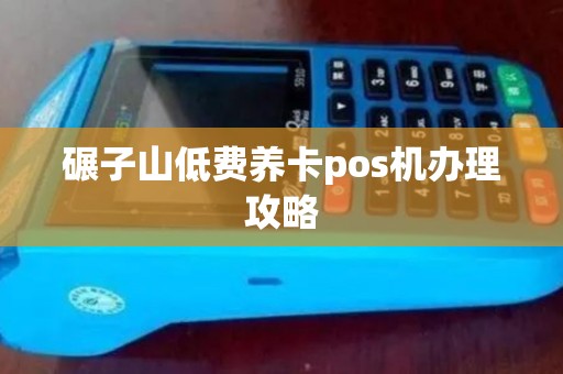 碾子山低费养卡pos机办理攻略
