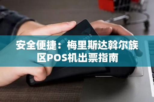 安全便捷：梅里斯达斡尔族区POS机出票指南