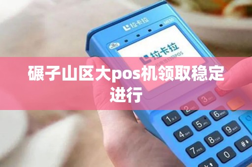 碾子山区大pos机领取稳定进行