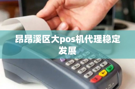 昂昂溪区大pos机代理稳定发展
