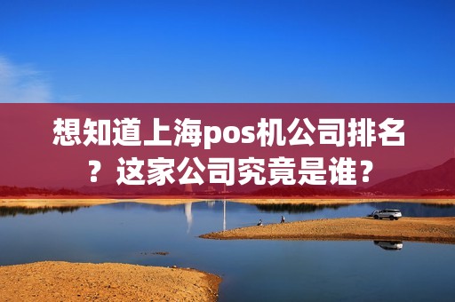 想知道上海pos机公司排名？这家公司究竟是谁？