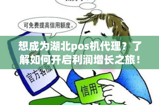 想成为湖北pos机代理？了解如何开启利润增长之旅！