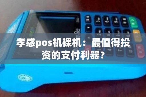 孝感pos机裸机：最值得投资的支付利器？