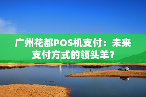 广州花都POS机支付：未来支付方式的领头羊？