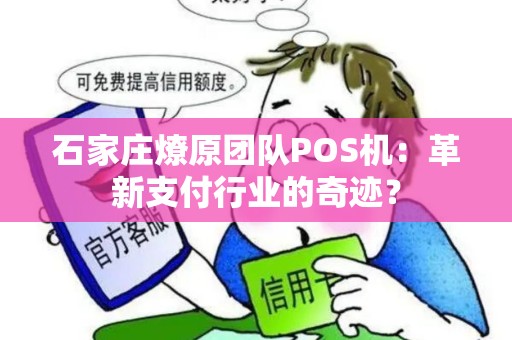 石家庄燎原团队POS机：革新支付行业的奇迹？