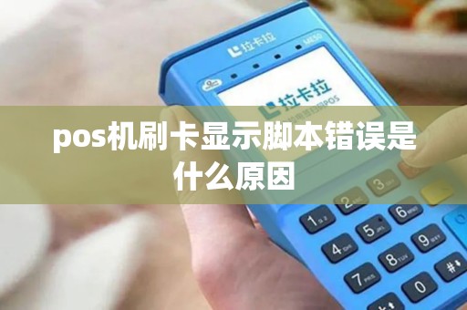 pos机刷卡显示脚本错误是什么原因
