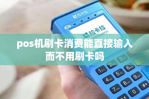 pos机刷卡消费能直接输入而不用刷卡吗