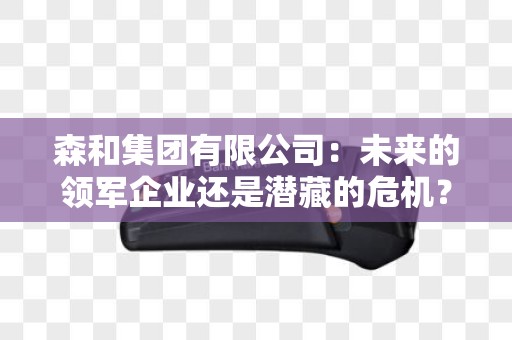 森和集团有限公司:未来的领军企业还是潜藏的危机? 森和集团有限公司:未来的领军企业还是潜藏的危机?