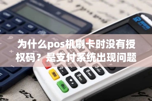 为什么pos机刷卡时没有授权码？是支付系统出现问题还是银行漏洞？