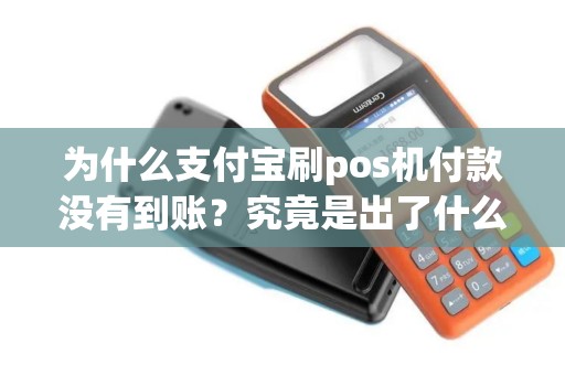 为什么支付宝刷pos机付款没有到账？究竟是出了什么问题？