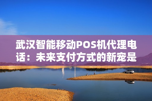 武汉智能移动POS机代理电话：未来支付方式的新宠是什么？