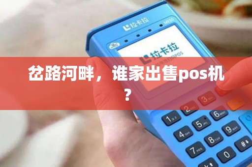 岔路河畔，谁家出售pos机？