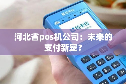河北省pos机公司：未来的支付新宠？