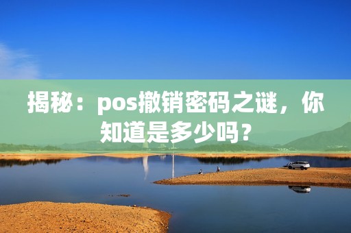 揭秘：pos撤销密码之谜，你知道是多少吗？