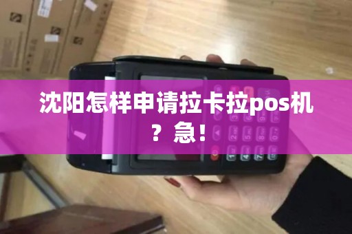 沈阳怎样申请拉卡拉pos机？急！