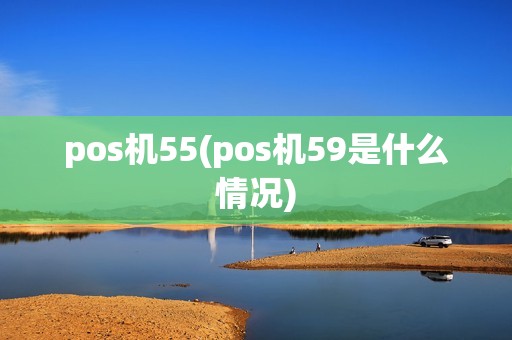 pos机55(pos机59是什么情况)
