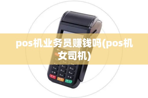 pos机业务员赚钱吗(pos机女司机)