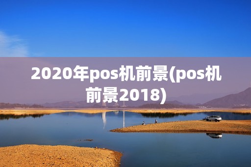 2020年pos机前景(pos机前景2018)