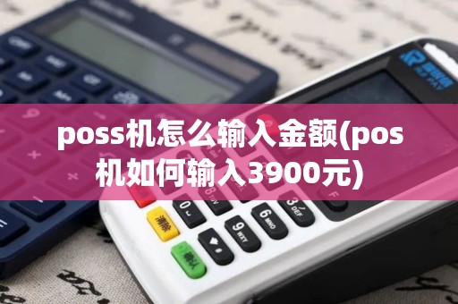 poss机怎么输入金额(pos机如何输入3900元)