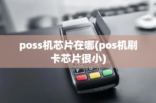 poss机芯片在哪(pos机刷卡芯片很小)